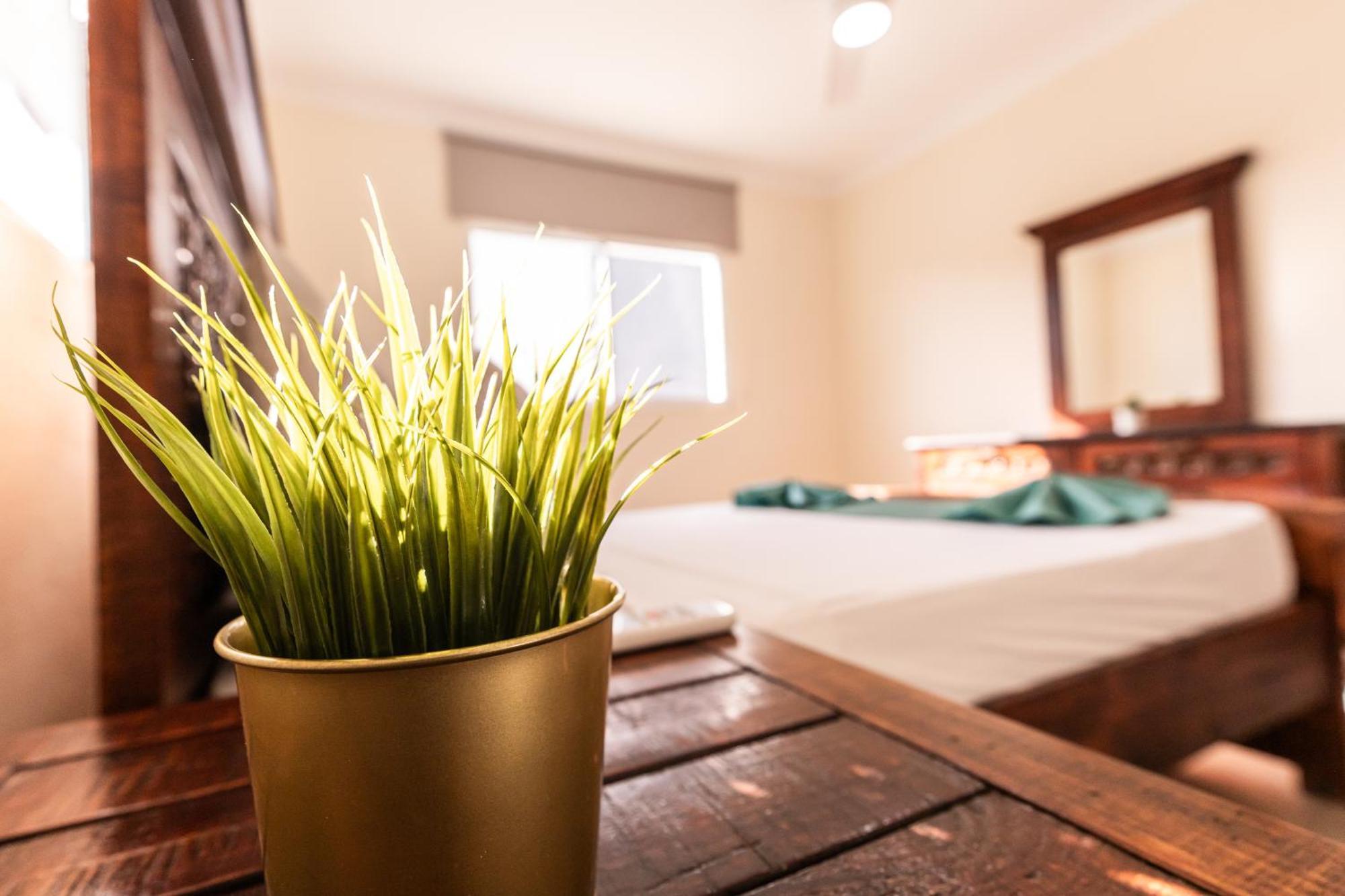 Hostal Las Rosas De פונטה קאנה מראה חיצוני תמונה