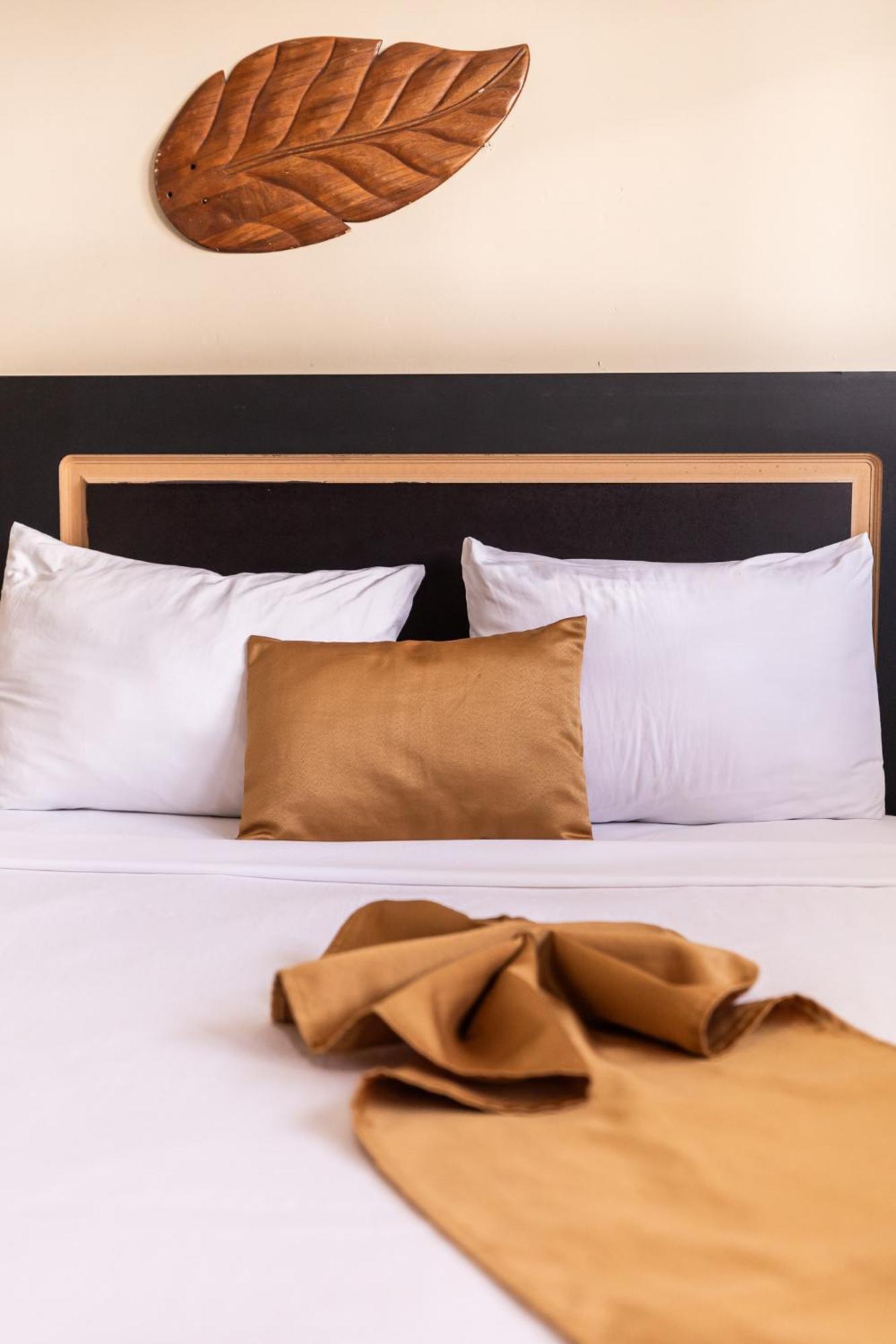 Hostal Las Rosas De פונטה קאנה מראה חיצוני תמונה